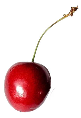 Cherry